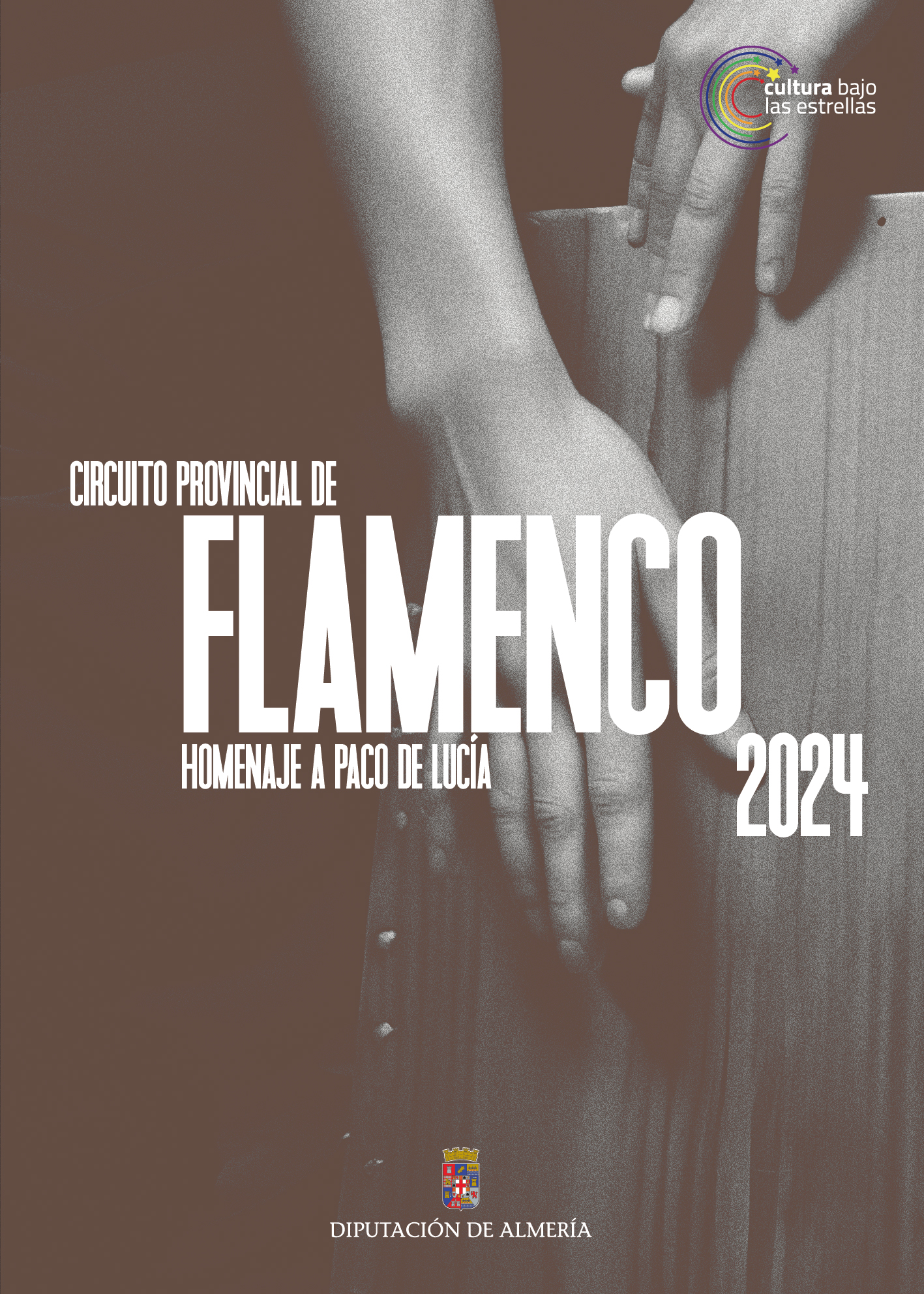 Circuito Provincial de Flamenco. Homenaje a Paco de Lucía